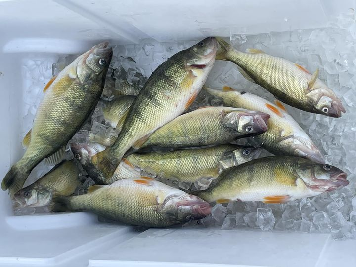 Lake Erie Fishing Report